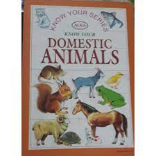 Animals - Q&A in Folds (P)