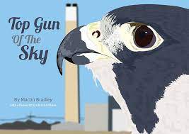 Top Gun of the Sky (P)